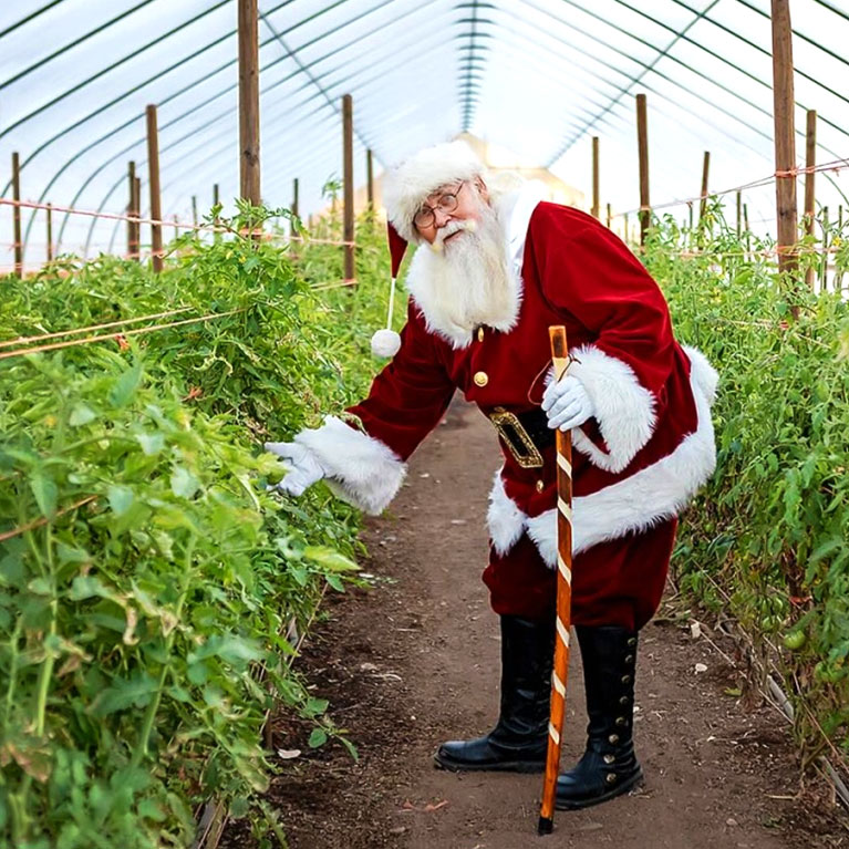 Visit with Santa during our Christmas on the Farm event at Mortimer Farms in Dewey, AZ.